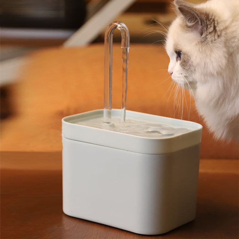 AquaFlow Fonte de Água para Gatos